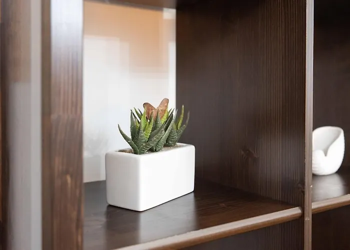 Apartmán Elegant - Loreto -
